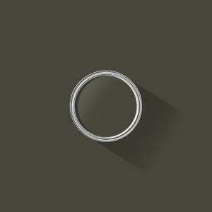 Black Olive paint