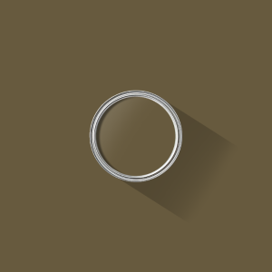 Bronze Olive paint