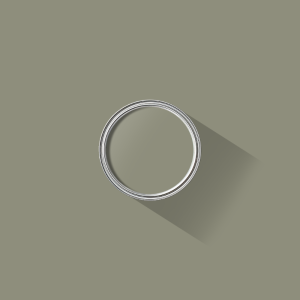 Green Grey paint