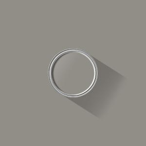 Koala Grey paint