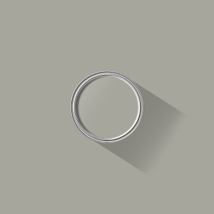 Light Grey paint