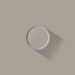 Birch Grey paint