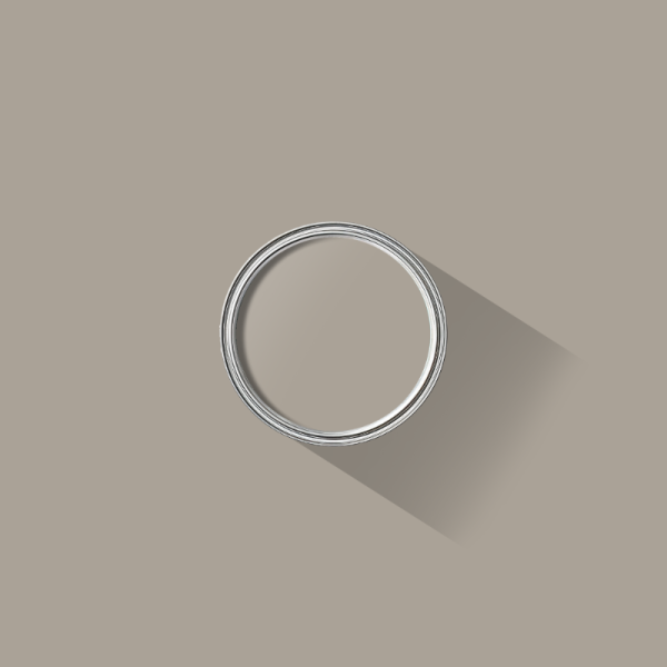 Birch Grey paint