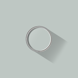 Silver Grey paint