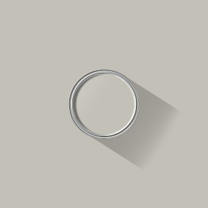 Cloud Grey paint