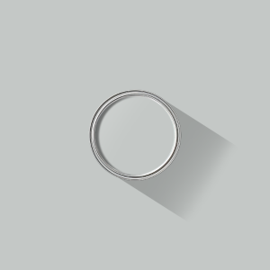 Neutral Grey paint