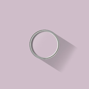 Ribbon Pink paint