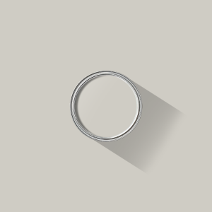 Pastel Grey paint