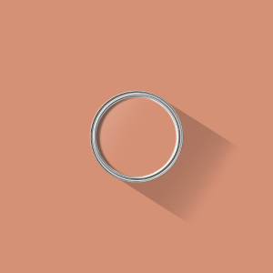 Salmon Pink paint