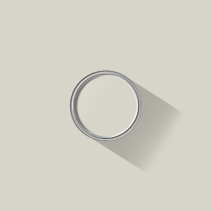 Pearl Grey paint