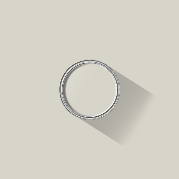 Pearl Grey paint
