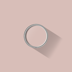 Dusty Pink paint