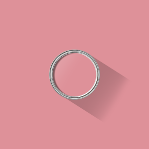 Rose Pink paint