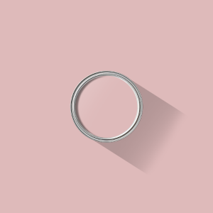 Sunset Pink paint