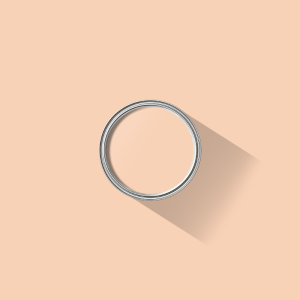 Shell Pink paint